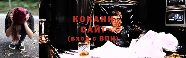 гидра Вязники