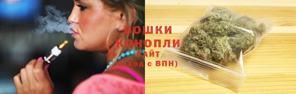 гидра Володарск