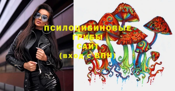 гидра Володарск