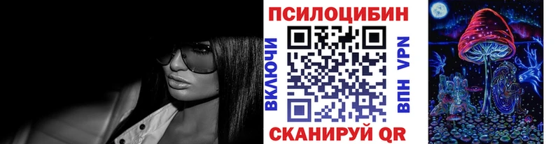 Купить  Пикалёво  Псилоцибиновые грибы Psilocybine cubensis 